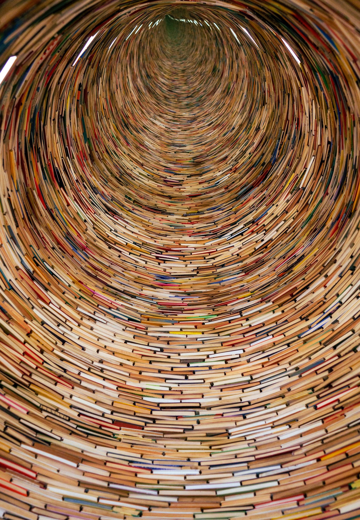 Capturing Emotion: The Art of Photography